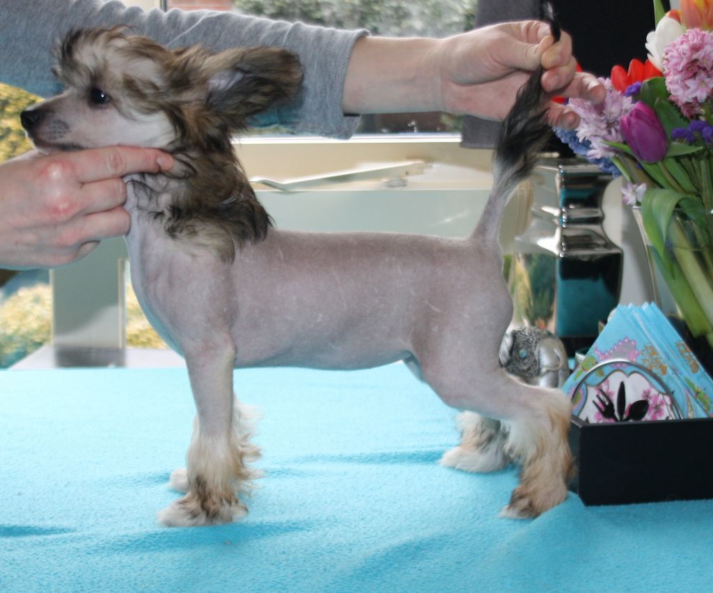 Journey To Ithaca of Angel's Legacy