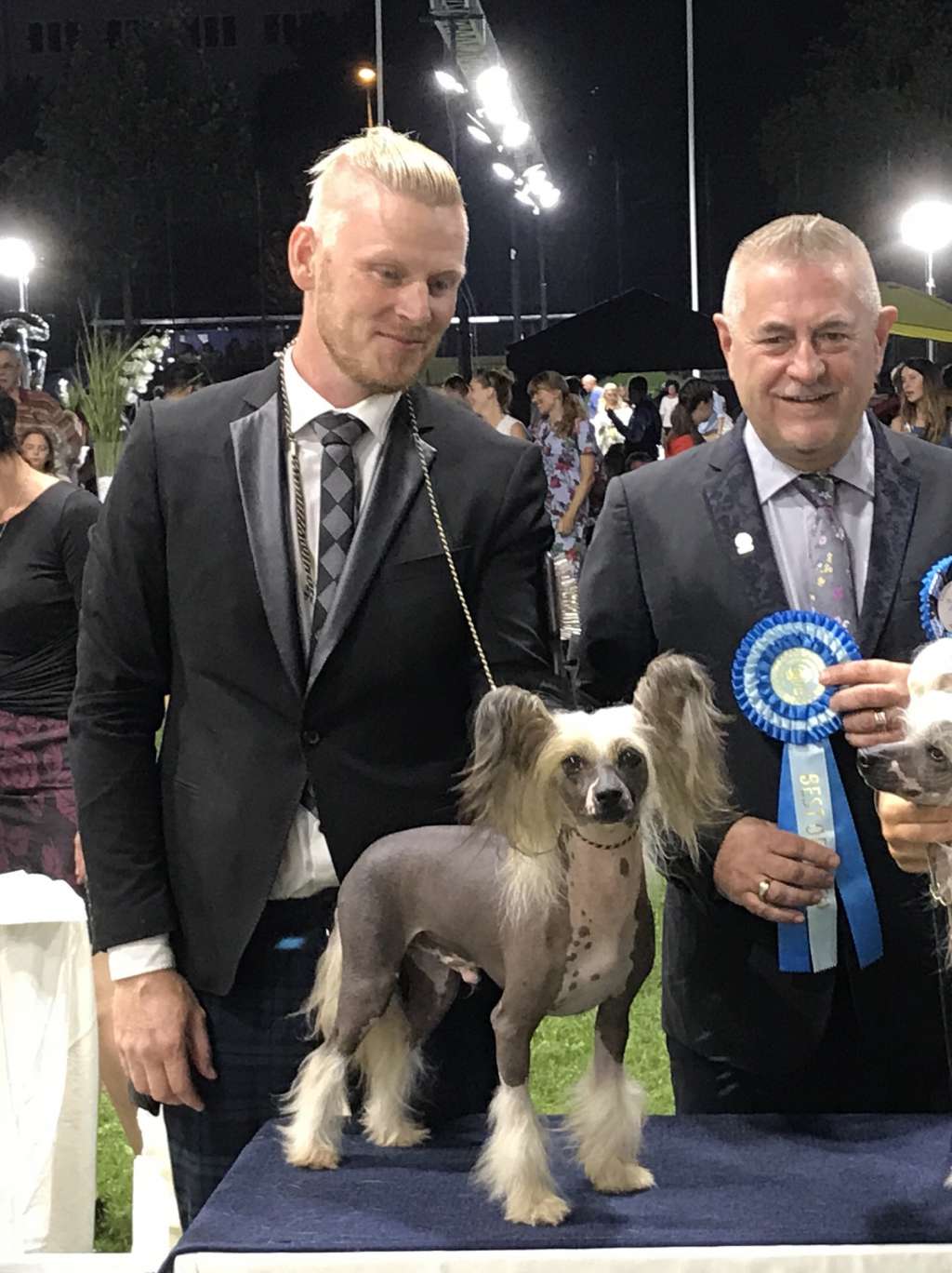 Crest'd Label Trick or Treat