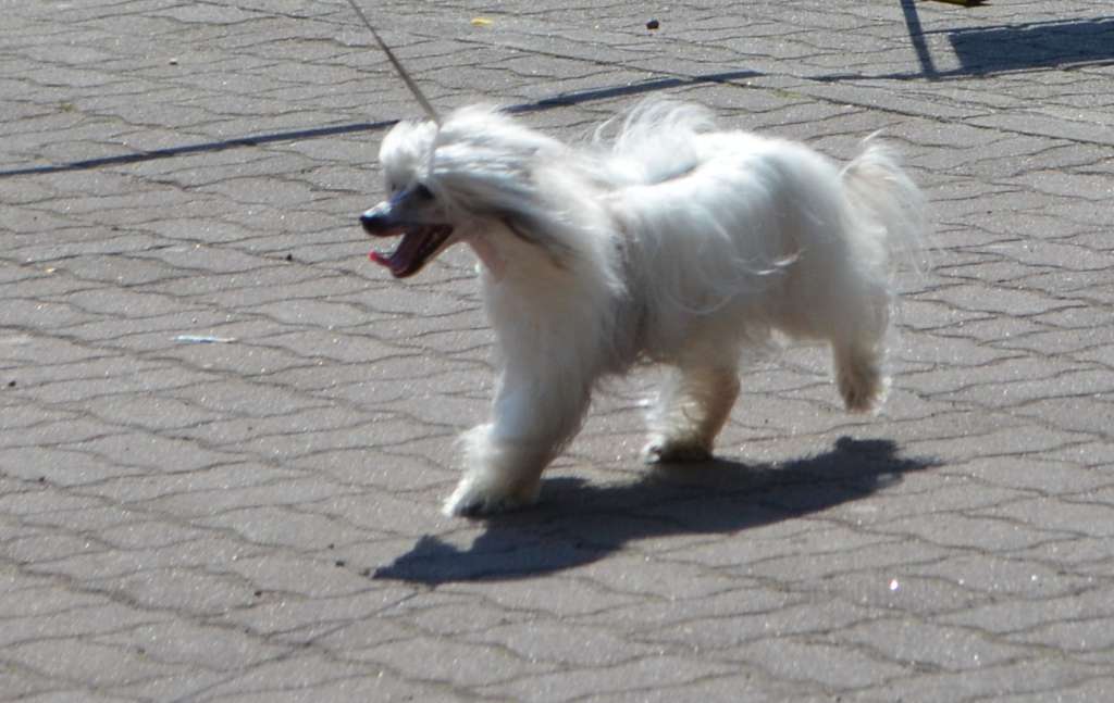 Karamel' Dlja Milana