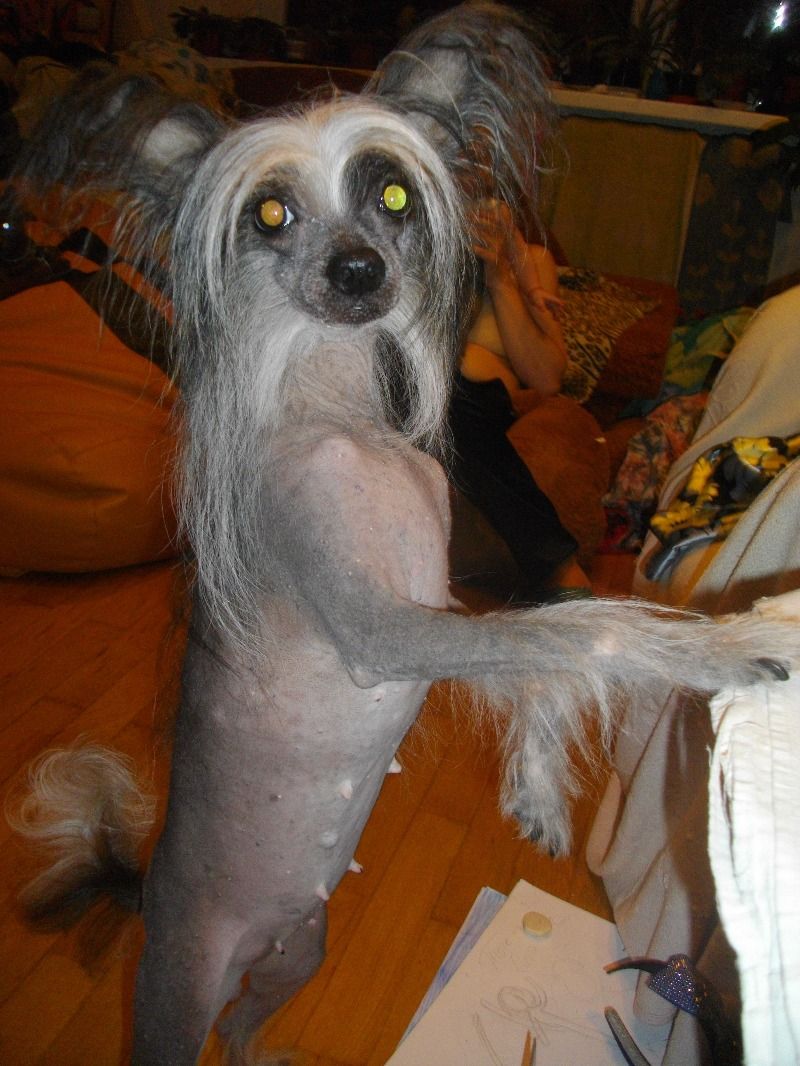 Solnechnaya Ledy Odesskiy Dvorik