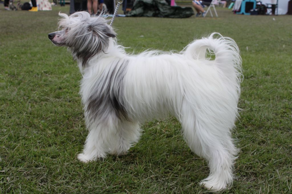 Allegranden Cashmere Lounge