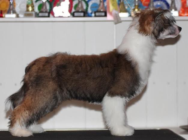 Maybell's Storm In A Teacup