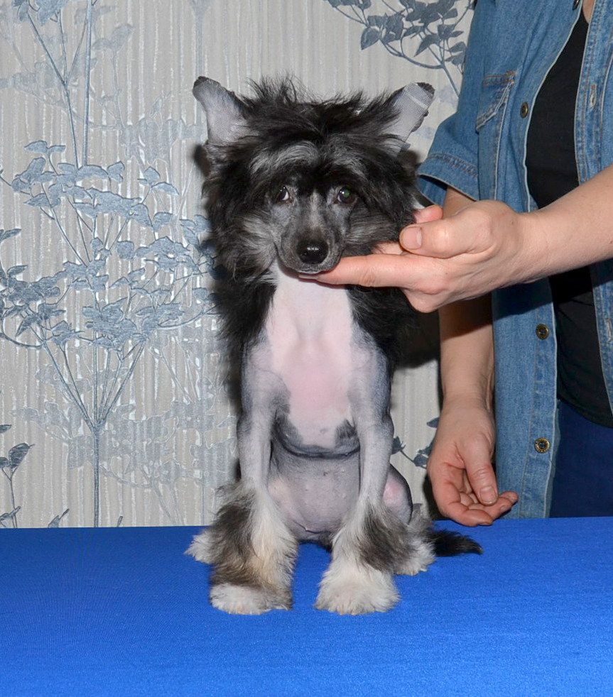 Marvi's-Stile Lara Blackmor