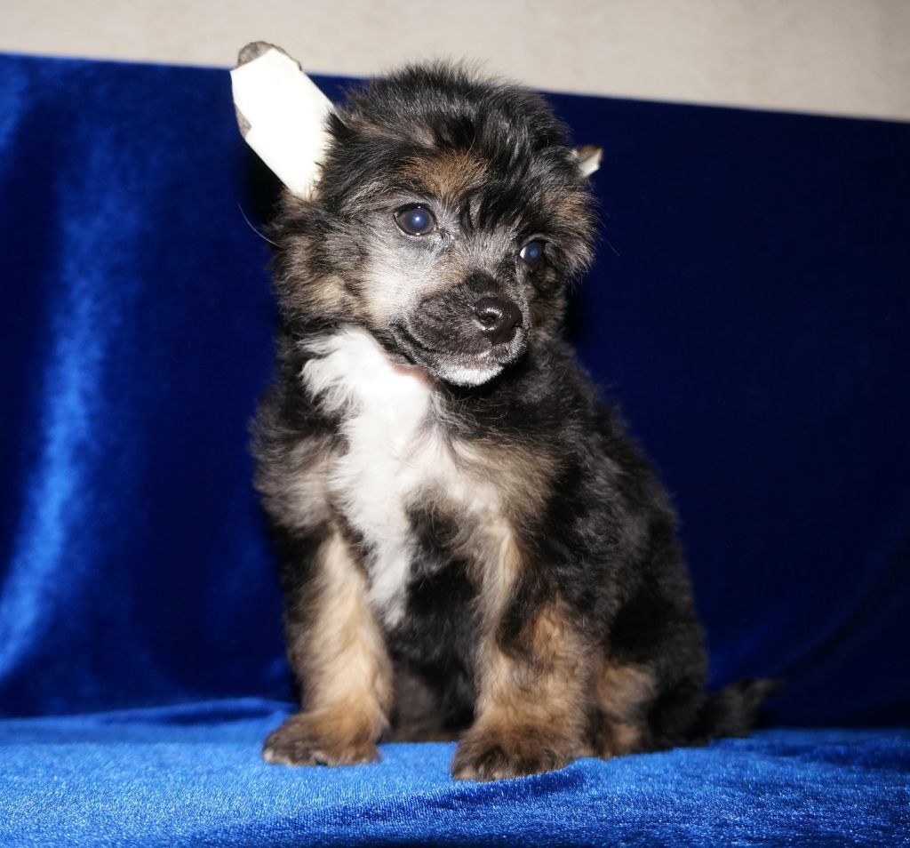 Marvi's-Stile Nick J'Lo