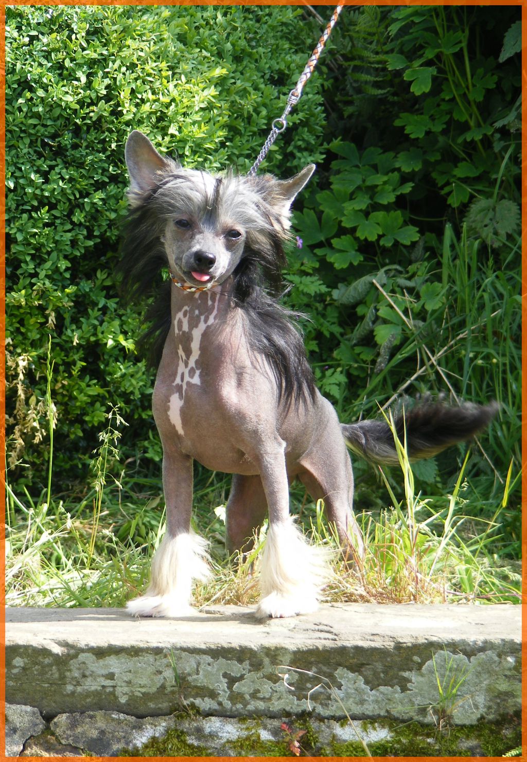 Grzechu Warta Innowacja