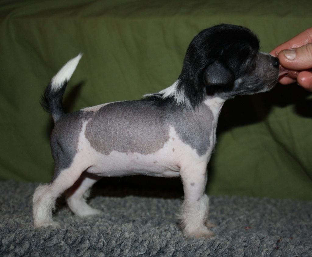 Valanyan Drama Queen