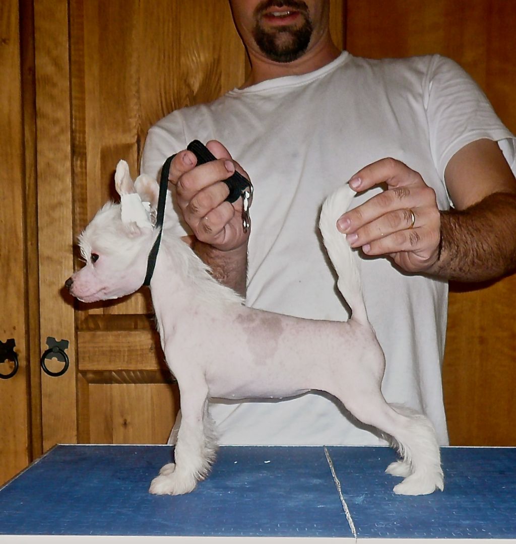 Saint Christopher's magic Miracle