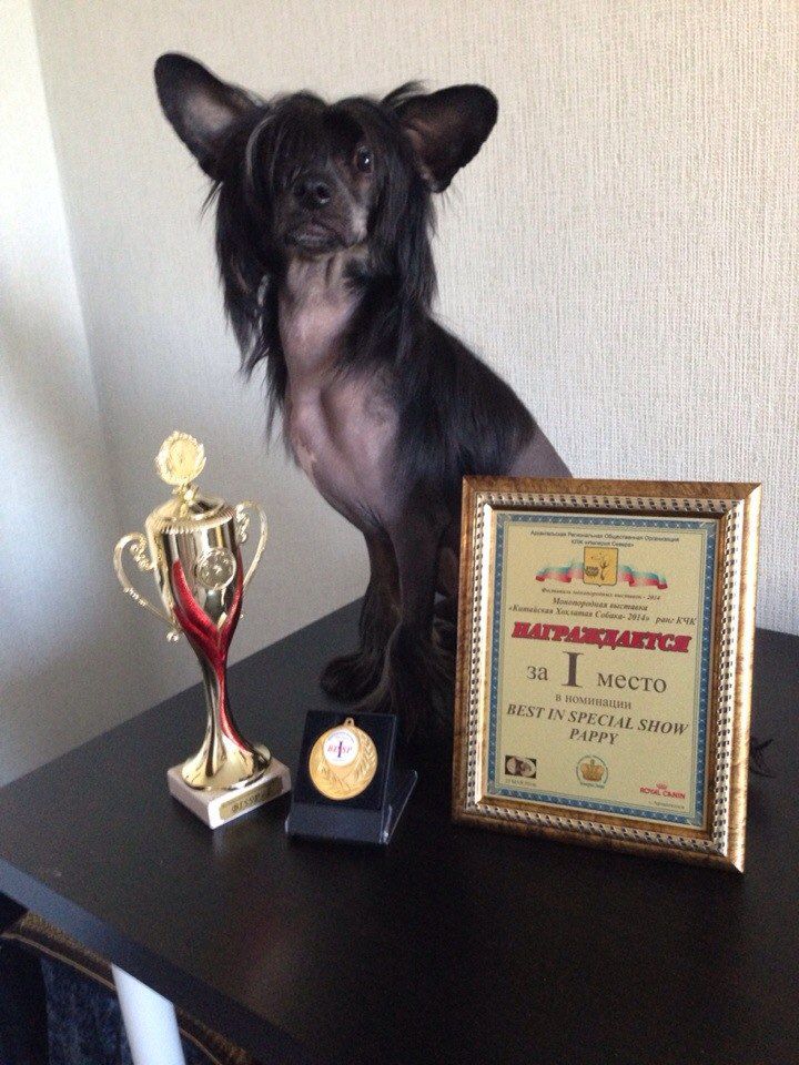 Endless Kiss Yustas black magic