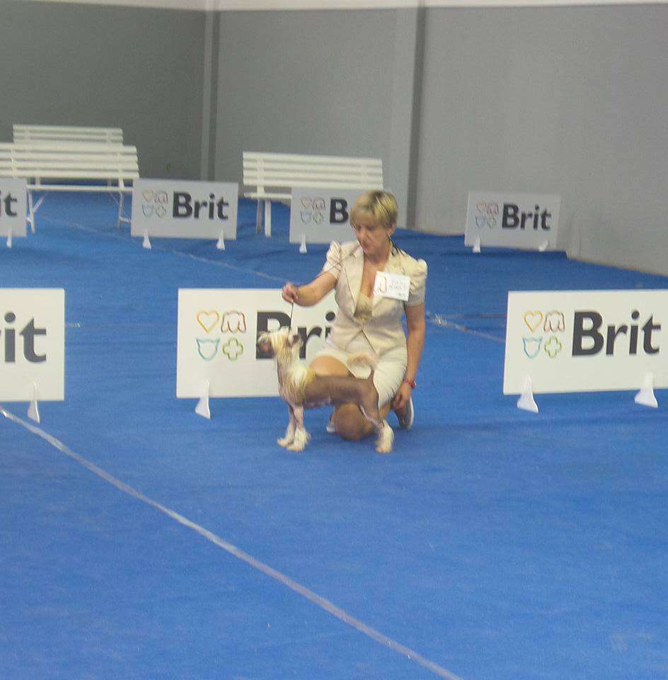 Edith Piaf Milfra-Moravia