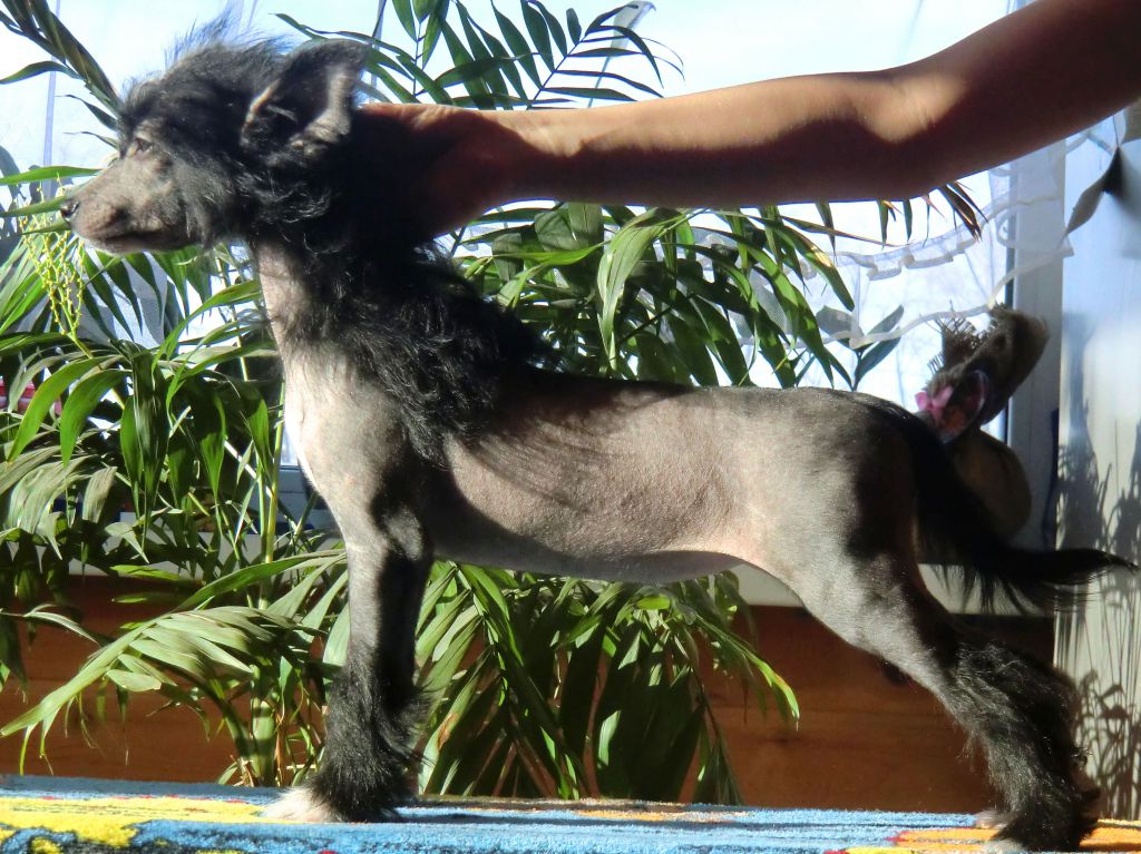 Baikal Dream Baldessarini style