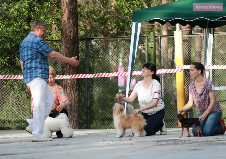 Unreal Krutbl Solidzen Bim