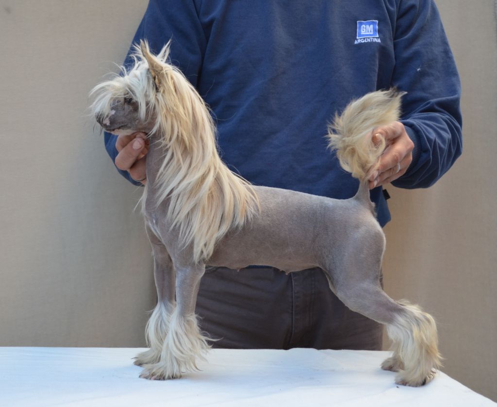 Mi Niña Bonita Falazairroo