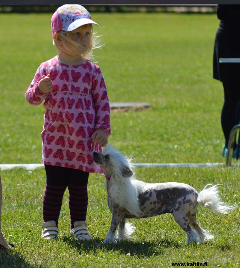 Kaitlin Freezing Vanilla