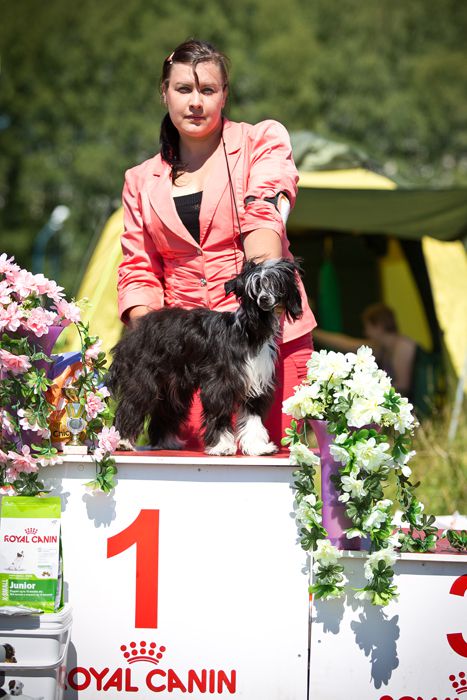 Status Imperial Jizele La Reine Noire