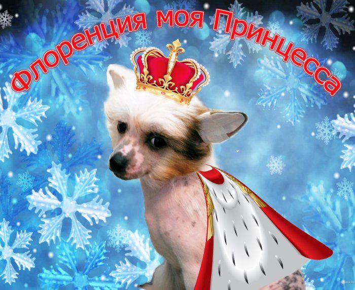 Ulsan Kiss Florenzia Moya Prinzessa