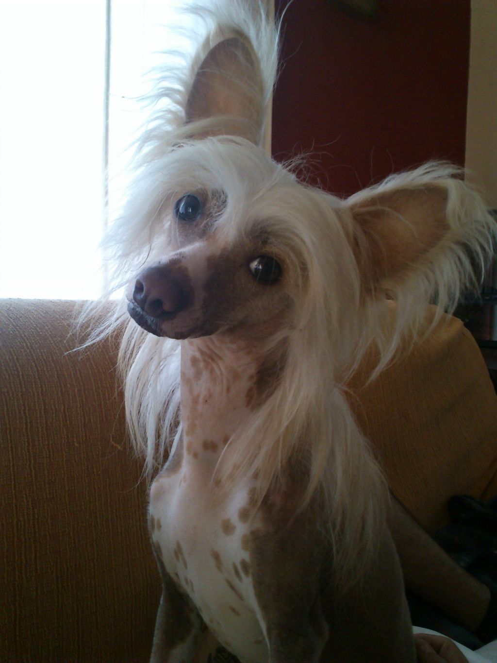 Golden Beam of the Sun de Almamasan