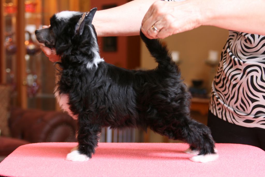 Charisma Unlike Any Other