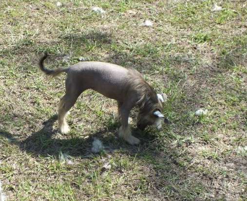 Hampton Court's Don't Blink