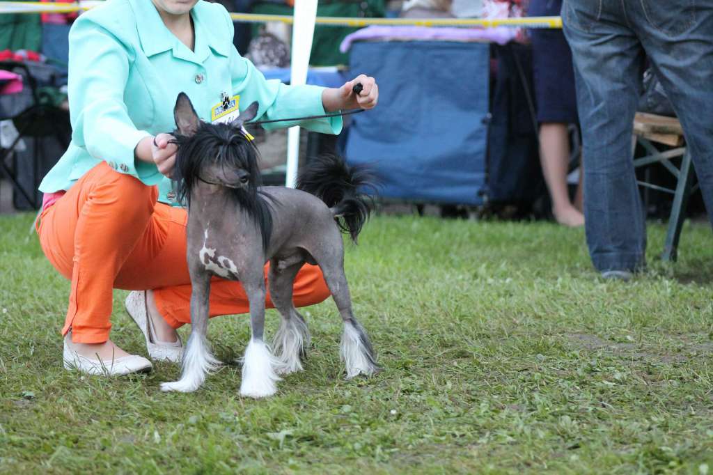 Call Me Warrior  z Jestrebiho kralovstvi