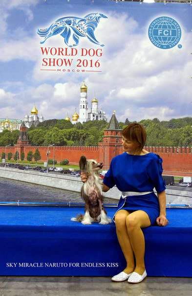 Sky Miracle Naruto for Endless Kiss