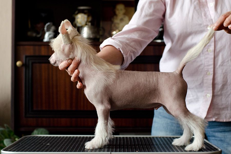 Kranar Counter Agent