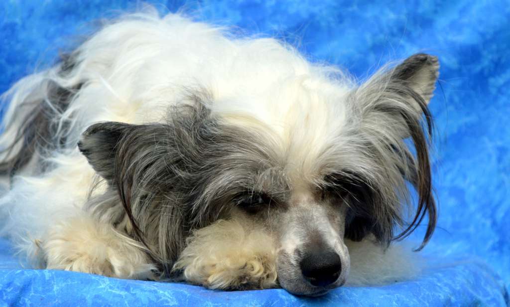 Emily Agnes z Andelovy dlane