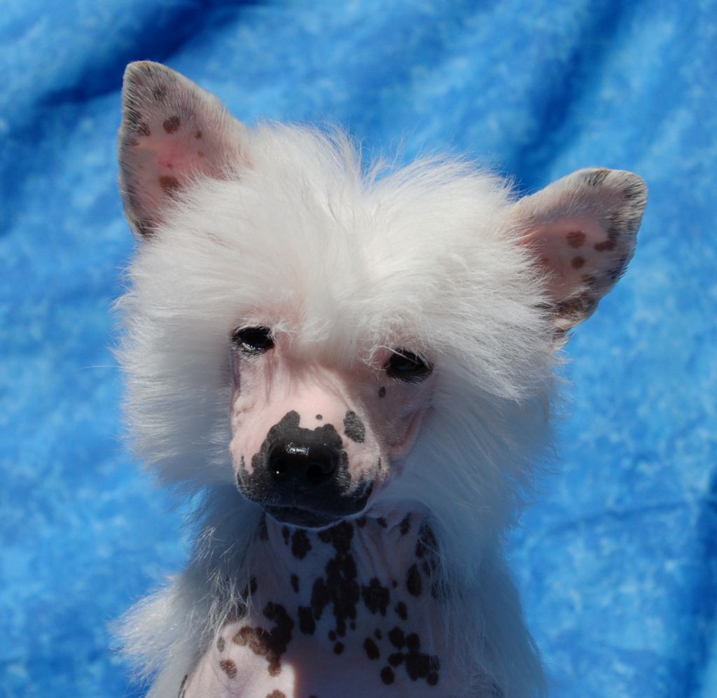 Enjoy Lilly Valley z Andelovy dlane