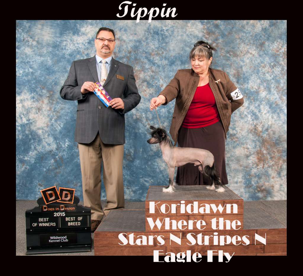 Koridawns Where The Stars N Stripes N Eagle Fly