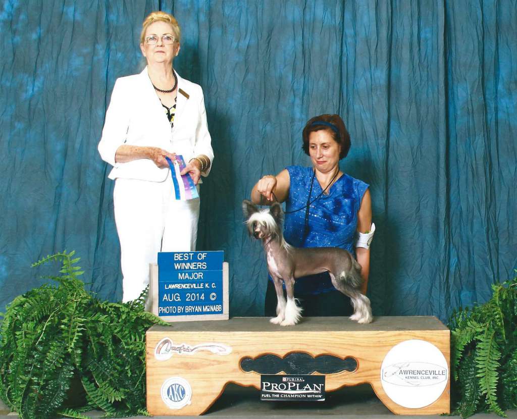 Koridawn HeartsBeatTrueNeathTheRedWhiteNBlue