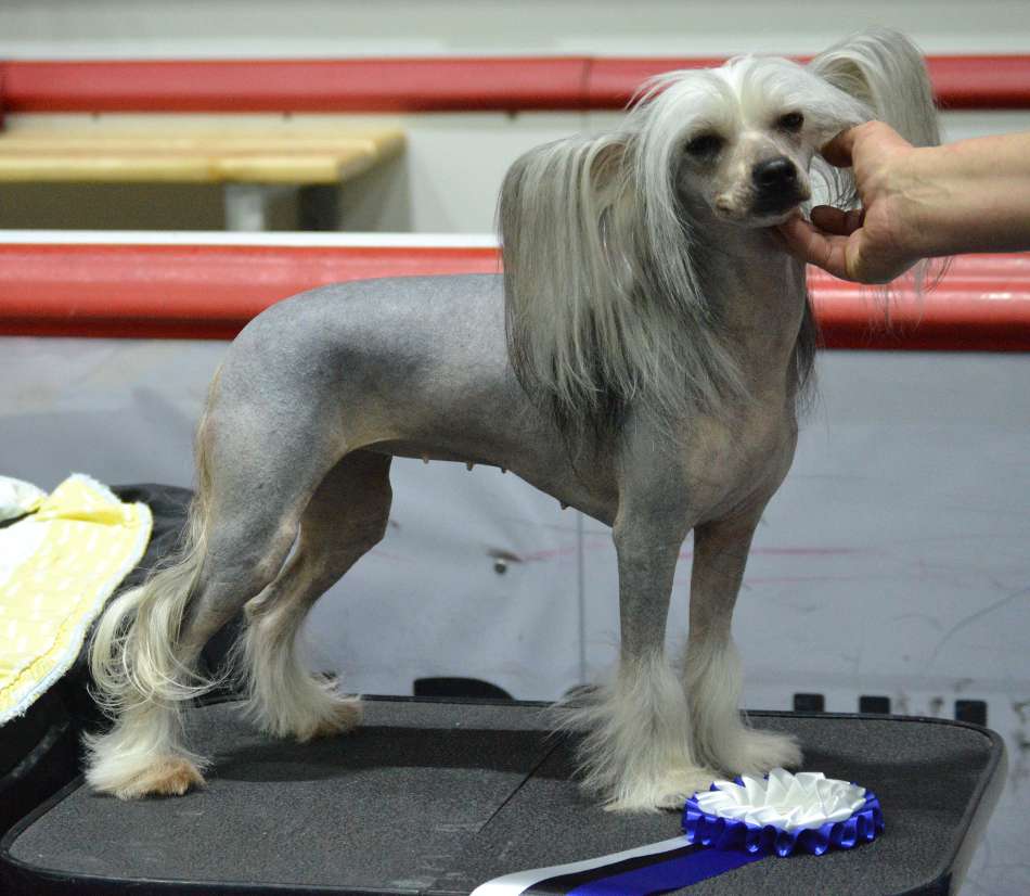 Lunnaya Sonata Adetta