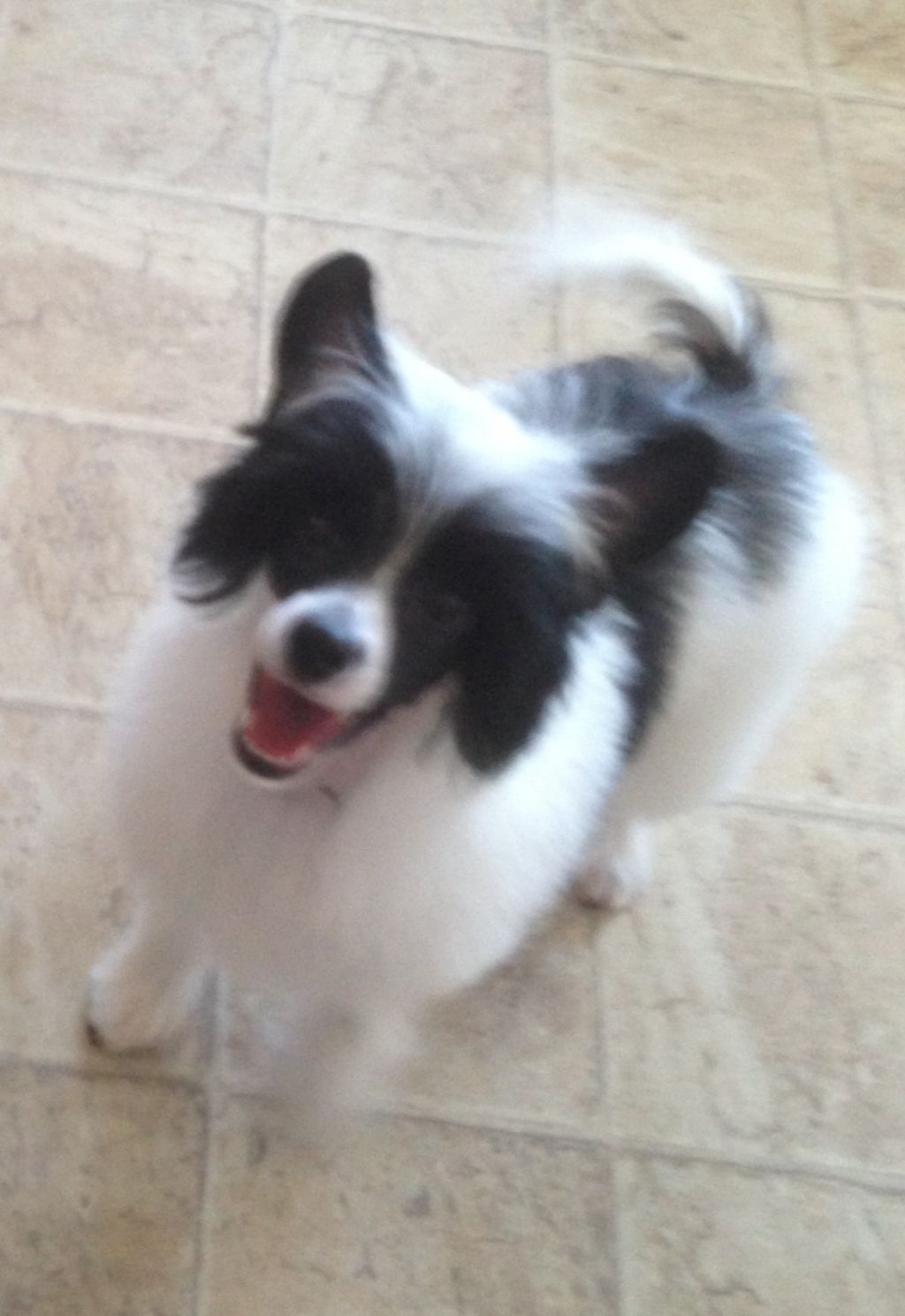 Castle Rock's You Are the Soul 4-Reil