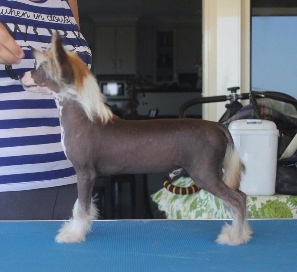 Casmai Im Naked So What