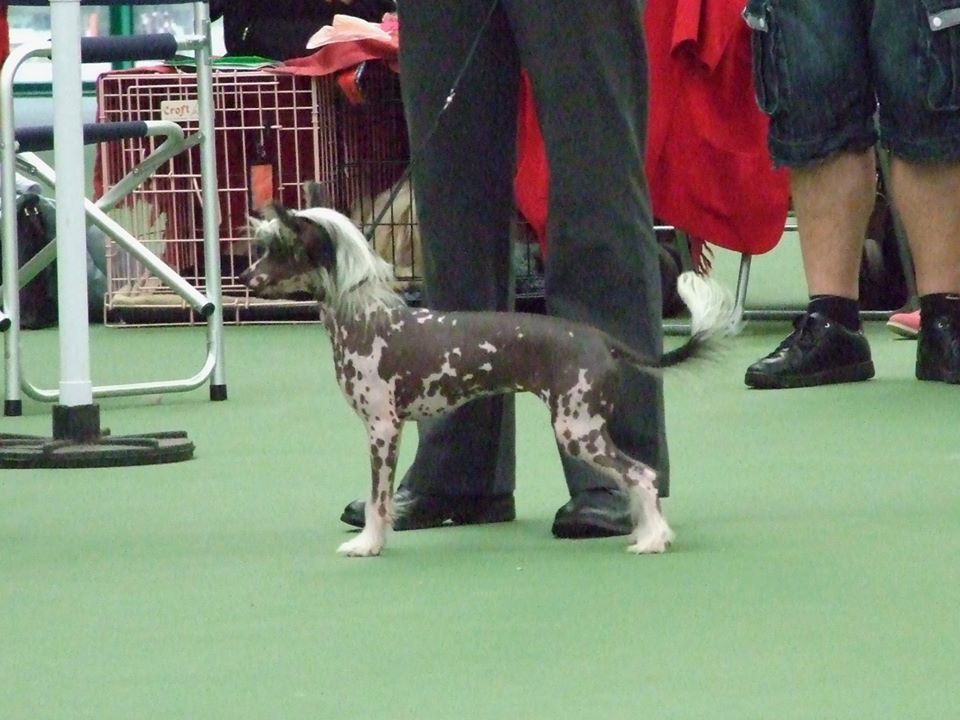 zerachiel the real thing