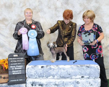 Sunberry's Gotta Love Yahoo