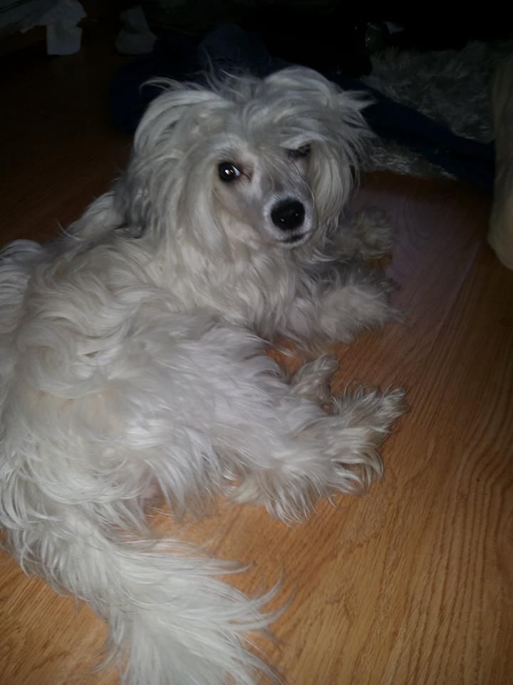 Namilon Lauhkea Cherokee