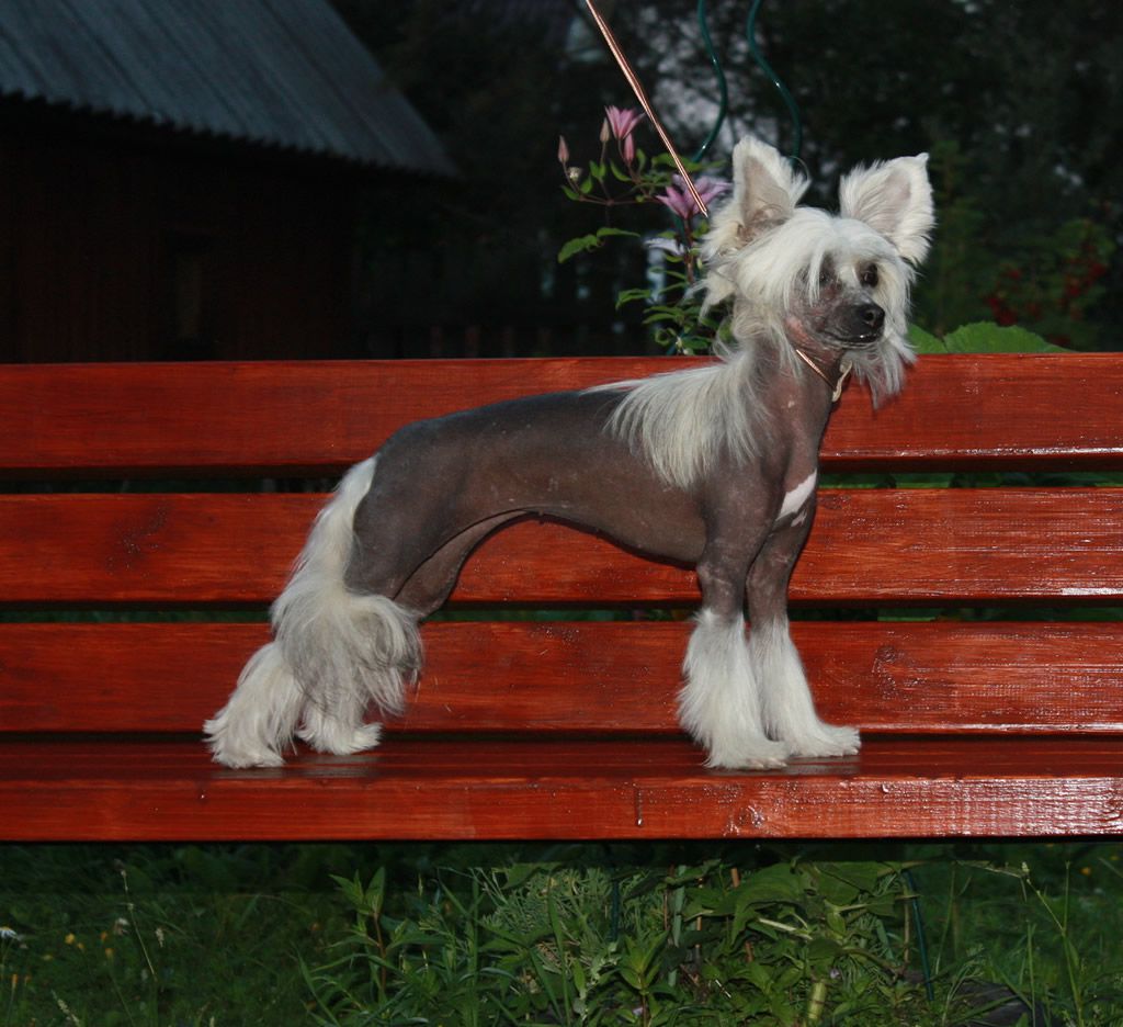 Vernisazh Mari Ocharovashka Olli