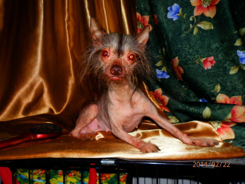 Geos Serebrjanogo Bora Yunona II