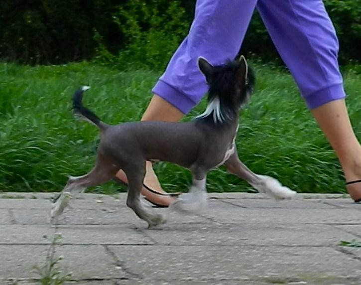 En Vogue Athel loren