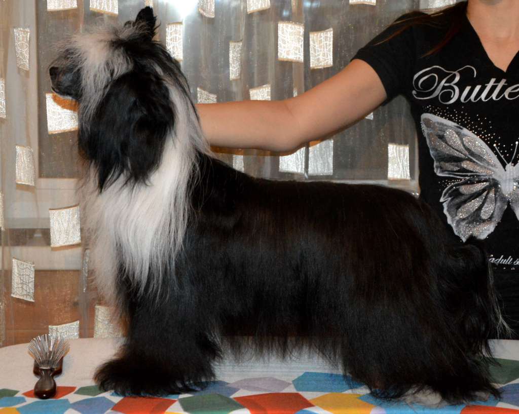 Baikal Dream Vendi Vortex