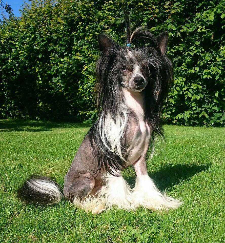 Maximilla's Bubble Ball