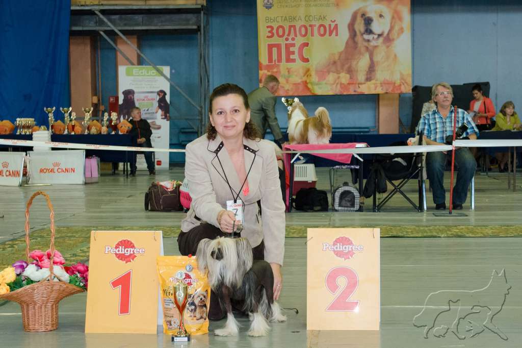 Marvi's-Stile Olympia Ins Lucky Star