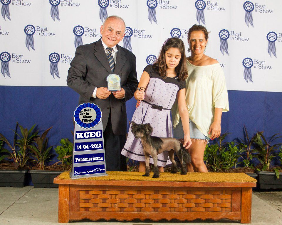 Lapinus Kemegos Friends Rachel