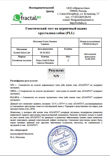 Prince Gold Di Best Talavera Minodora