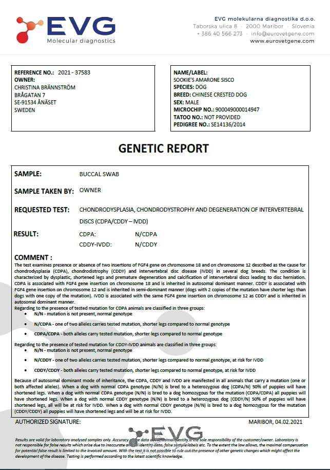 Sookie's Amarone Sisco