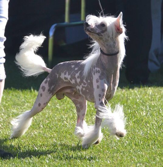 Zhen's The Only Way I know