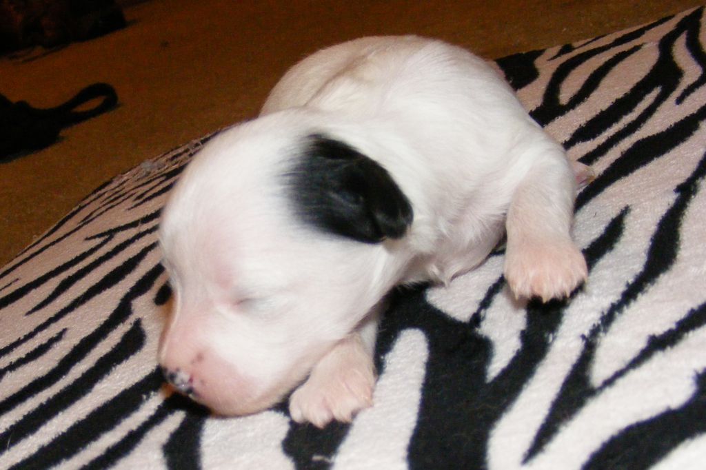 JRF-Evercrest Don't Stand So Close To Me