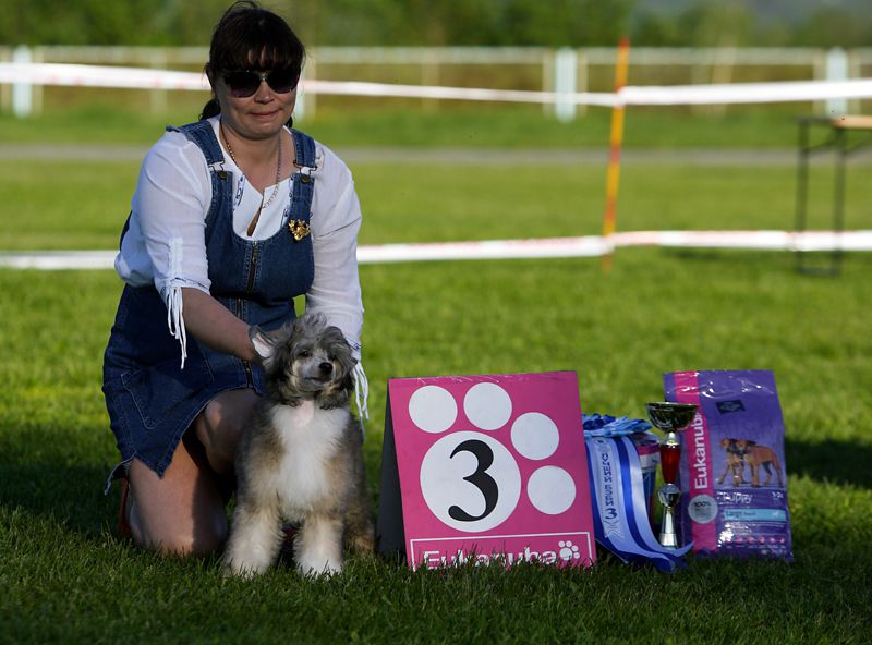 Tinky Loving Victory