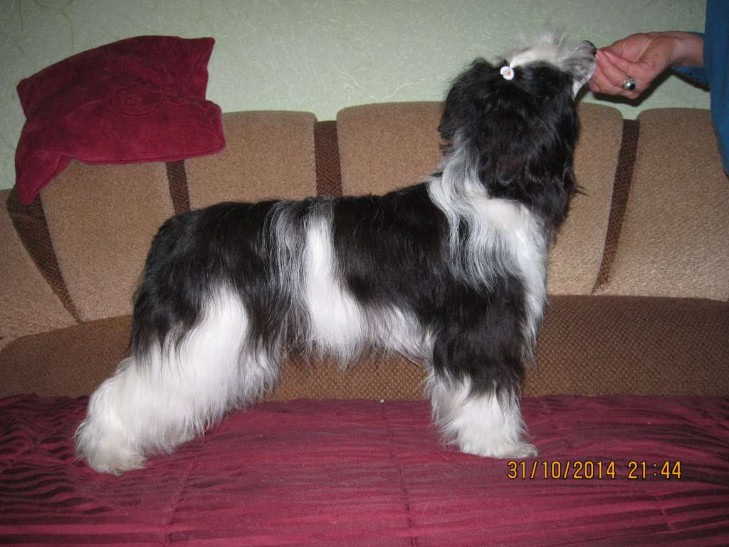 Solo Elider Jordana For Angels Flying