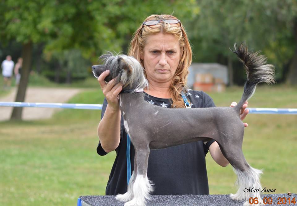 Birchvolgyi - Don Quijote de la Mancha