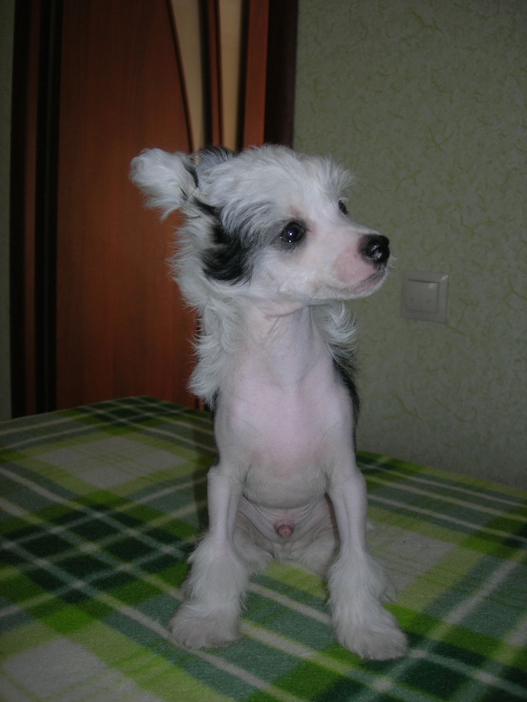 Rovanni Djekattolo  Justen